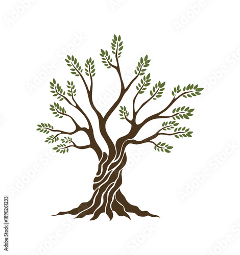 Olive trees with branches and leaves for design of packaging, label, logotype or banner. Natural organic stylized olive icon, premium quality sign. Vector illustration