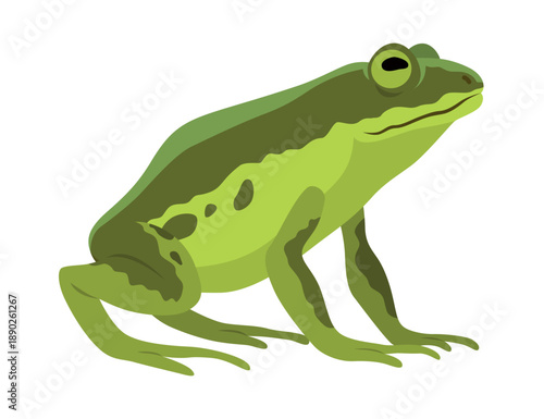 Frog jumping animation icon. Sequences or footage for motion design. Cartoon toad jumping, animal movement concept. Frog leap sequence, vector illustration