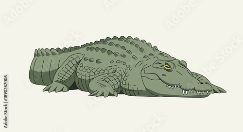 Illustration of a resting crocodile with detailed scales and textured skin.