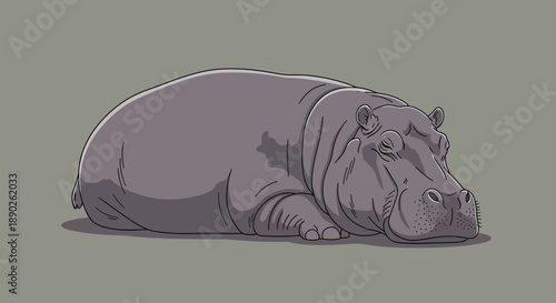 Illustration of a resting hippopotamus lying down on the ground.