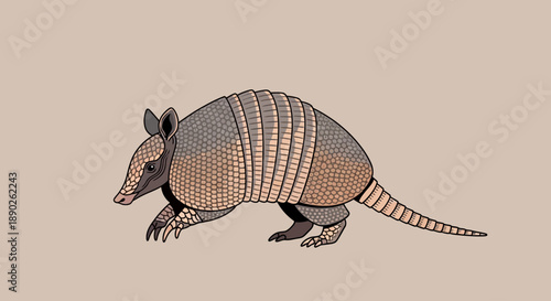 Detailed illustration of an armadillo with textured armor and long tail on beige background.