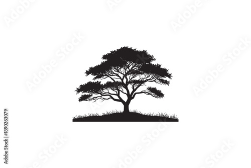Large spreading acacia tree silhouette on grassy hill nature landscape icon for environmental theme