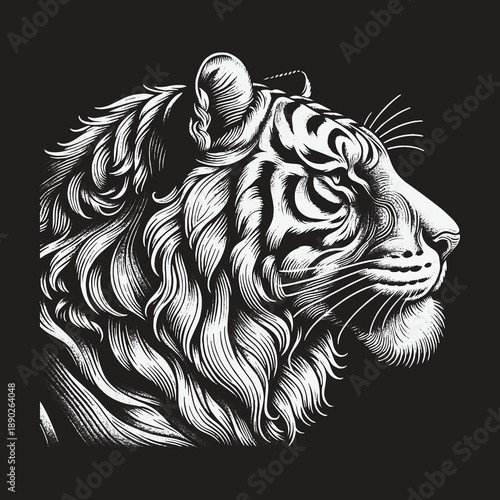 Detailed Line Art of a Majestic White Tiger Head.