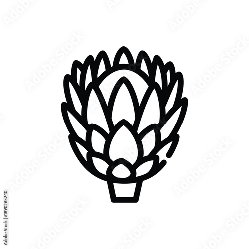 Outline illustration of an artichoke black white