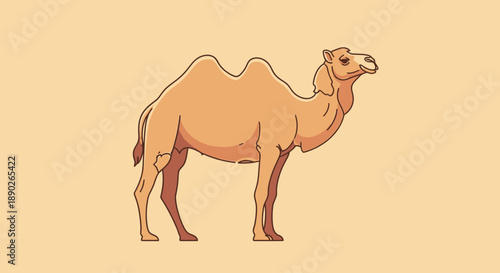 Illustration of a single camel standing on a plain background.