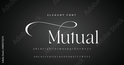 Elegance Luxury wedding alphabet font. Typography elegant classic lettering serif fonts decorative vintage retro for logo. vector illustration