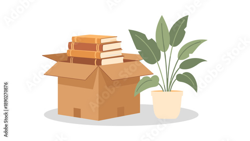 Cardboard box with books and potted plant on white background