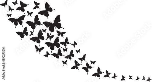 Black silhouette collection of flying butterflies in a decorative swarm formation isolated on white background for nature beauty transformation spring and artistic design concepts