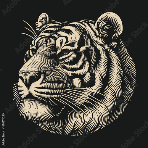 Intricate Tiger Portrait: A Study in Line and Shadow.