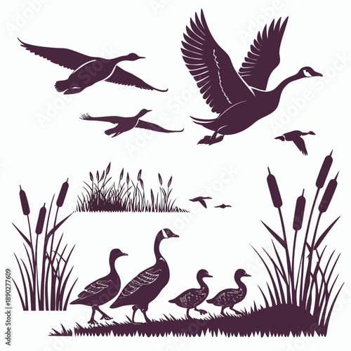 Set of black vector bird silhouettes featuring a wild nature collection of flying animals like eagles, pigeons, and seagulls in flight with detailed wings and feathers