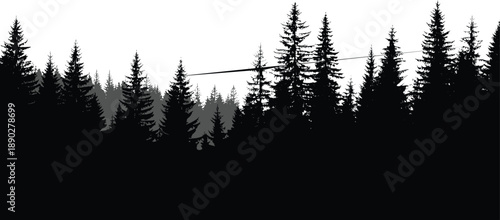 Forest silhouette landscape with dense pine trees, layered wilderness scenery, minimal nature panorama vector isolated on white background