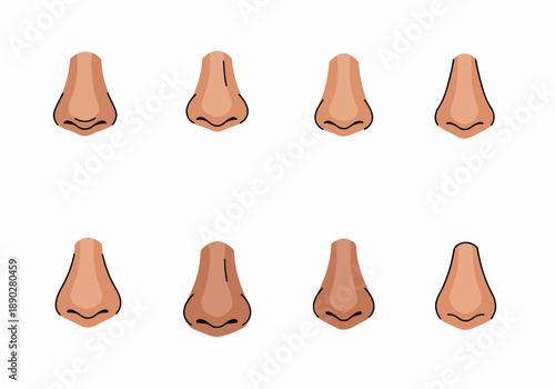 A collection of eight diverse cartoon human noses in various shapes and skin tones, depicted in a simple vector illustration style on a white background.