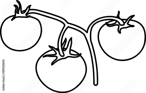 Coloring page with tomato fruits isolated on white background	