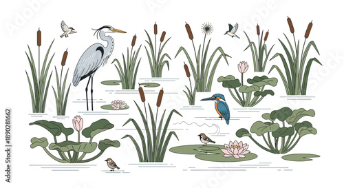 Vector illustration of a wetland ecosystem with various plants, animals, and birds, including a heron, duck, and insects, on World Wetlands Day, highlighting conservation and nature.