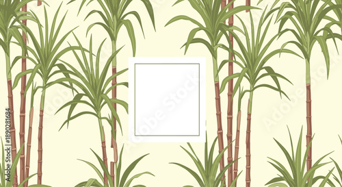 Lush sugarcane field illustration with tall green stalks and long leaves surrounding a central blank square frame for your text.