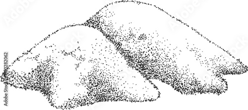 Sandalwood tree powder sketch, organic herbal cosmetics, medicinal plant extract product engraved hand drawn vector