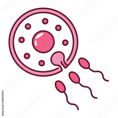 Pink illustration depicting a cell sperm and fertilization process