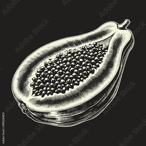 Detailed Engraving of a Half-Cut Papaya with Seeds.