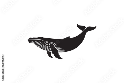 Majestic humpback whale silhouette side view illustration for marine life and ocean conservation art