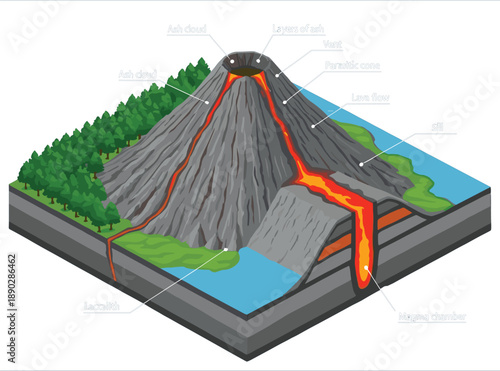 Professional isometric cross-section vector diagram of a volcano showing magma chamber lava flow and geological layers.