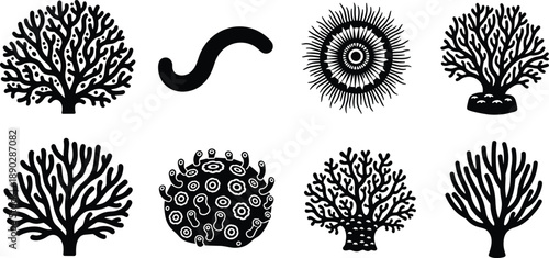 Marine coral and sea organism icon set featuring reef shapes algae and underwater elements in clean black and white vector style
