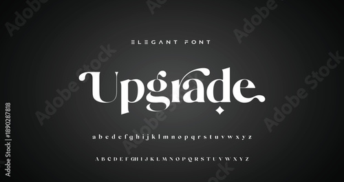 Elegance Luxury wedding alphabet font. Typography elegant classic lettering serif fonts decorative vintage retro for logo. vector illustration