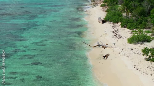 Wallpaper Mural Zoom-in of sandy beach with palms and Caribbean sea at Catalina island, Dominican republic  Torontodigital.ca