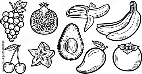 Hand drawn black and white line art of assorted tropical fruits including banana mango avocado pomegranate cherries grapes starfruit and persimmon detailed