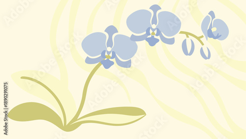 Purple orchid flowers with green stem and leaves on light yellow background