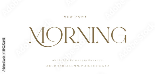 Elegant alphabet beauty logo font. Classic Modern luxury Serif Minimal Fashion. Typography decoration logotype fonts, wedding, logos. vector illustration