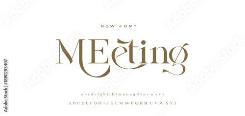 Elegant alphabet beauty logo font. Classic Modern luxury Serif Minimal Fashion. Typography decoration logotype fonts, wedding, logos. vector illustration