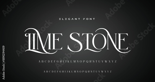 Elegant alphabet beauty logo font. Classic Modern luxury Serif Minimal Fashion. Typography decoration logotype fonts, wedding, logos. vector illustration