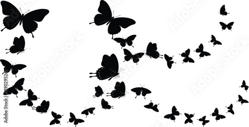 Butterfly Silhouettes Flight Swarm Nature Insects Black Shadow Flying Motion Decorative Frame Border Minimal Vector Clipart Illustration Design Elegant