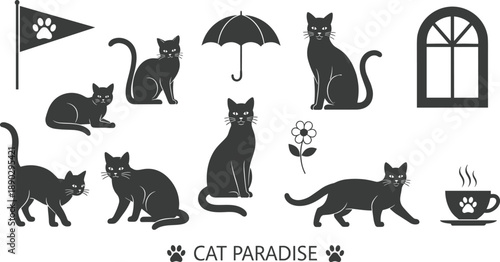Cat Silhouette Set Collection Feline Pet Animal Kitten Icons Cute Black Minimal Vector Illustration Domestic Cartoon Bundle Design