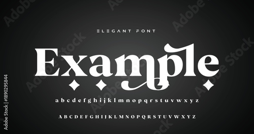 Elegant alphabet beauty logo font. Classic Modern luxury Serif Minimal Fashion. Typography decoration logotype fonts, wedding, logos. vector illustration