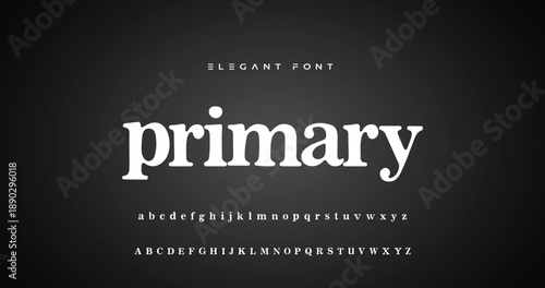 Elegant alphabet beauty logo font. Classic Modern luxury Serif Minimal Fashion. Typography decoration logotype fonts, wedding, logos. vector illustration