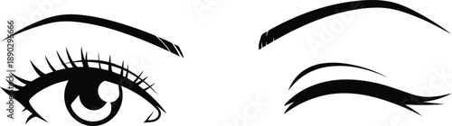 Stunning eye and eyebrow illustrations for beauty and makeup concepts