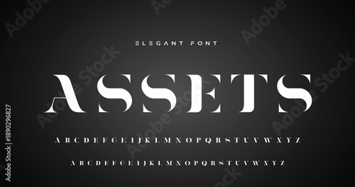 Elegant alphabet beauty logo font. Classic Modern luxury Serif Minimal Fashion. Typography decoration logotype fonts, wedding, logos. vector illustration
