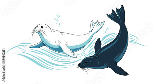 Dynamic illustration of two seals a sleek white one and a dark one gracefully swimming amidst blue waves and bubbles.