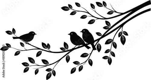 Birds sitting on tree branch silhouette, nature wildlife illustration black vector art isolated on white background for decorative stock design