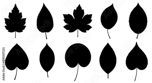 A collection of ten distinct black leaf silhouettes arranged in two rows against a white background, showcasing various shapes and forms.