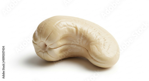 Single beige peanut on white background isolated legume with natural texture and wrinkles