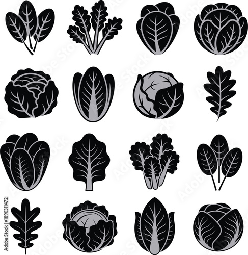 Vegetable and leafy greens silhouettes collection featuring cabbage, lettuce, spinach and salad leaves, organic healthy food icons, black shapes isolated on white background illustration