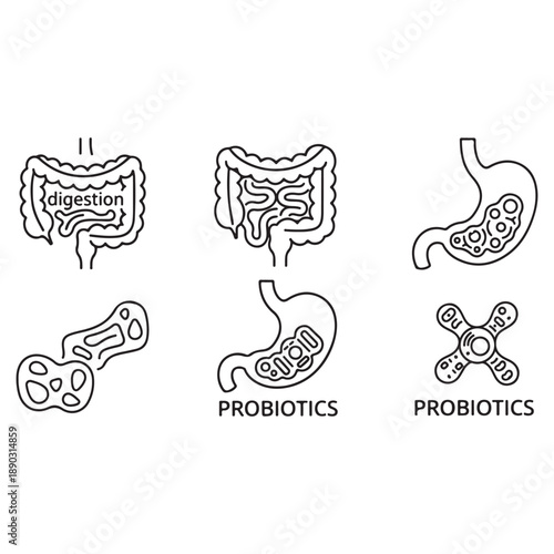 Digestive system and probiotics icons set
