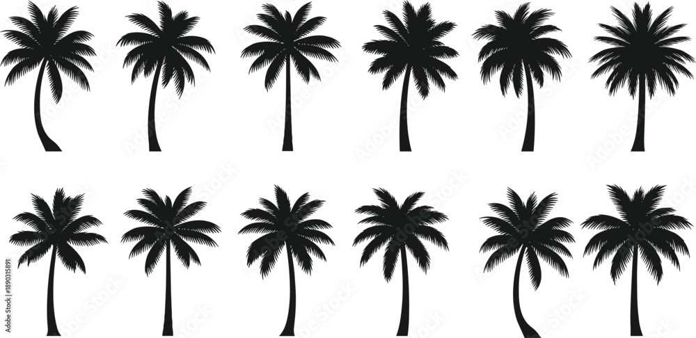 Fototapeta premium Set of black silhouette palm trees with varied trunk shapes and leafy crowns on white background tropical