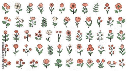 Diverse collection of fifty unique hand-drawn floral illustrations featuring various types of flowers and leaves in soft pink and green.