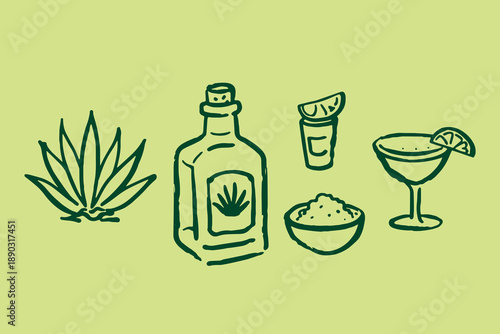 Tequila bottle agave margarita doodle line art vector illustration