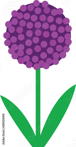 Chinese New Year Purple Allium Flower Illustration – Festive Floral Symbol for Spring Festival Decor and Greeting Designs
