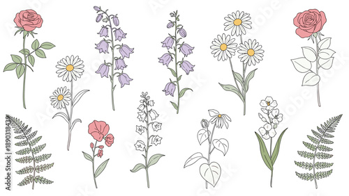 Diverse assortment of hand-drawn wild flowers and ferns including roses, daisies, and bellflowers in various soft colors for botanical art.