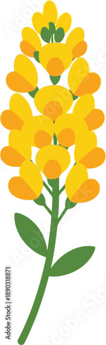 Chinese New Year Yellow Rapeseed Flower Illustration – Festive Spring Festival Floral Decoration, Lucky Symbol